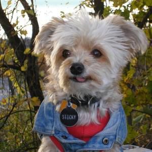 Meet your Posher, Sharon